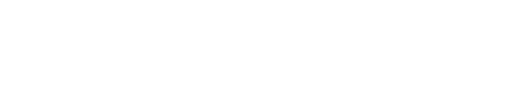 HealthLeaders Logo